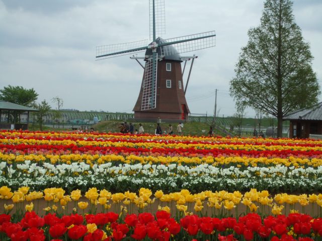 �`���[���b�v