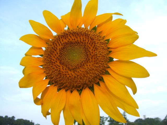 �q�}�����i�������j