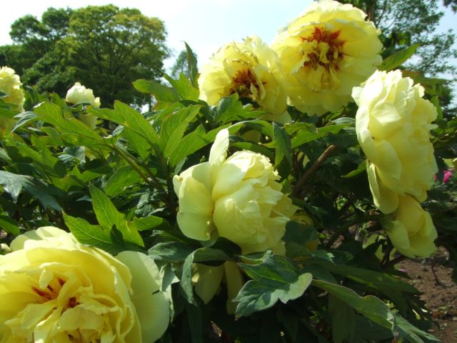 䉖�