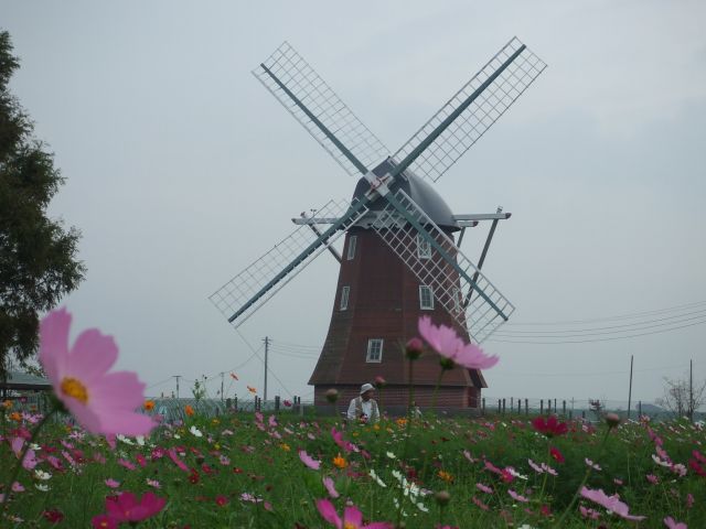 �R�X���X�i�H���j