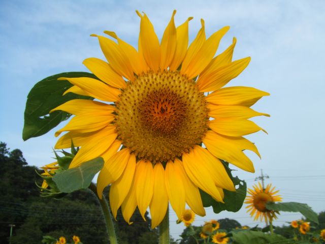 �q�}�����i�������j