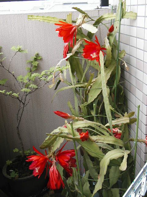 �E����l��